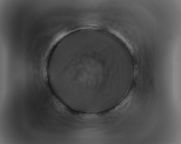 X0000087061455200705161002