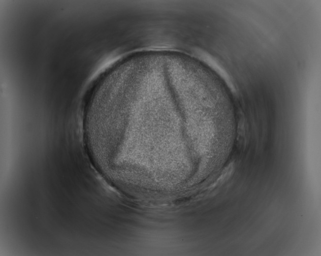 X0000087061456200705161002