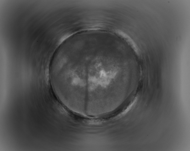 X0000087061457200705161002