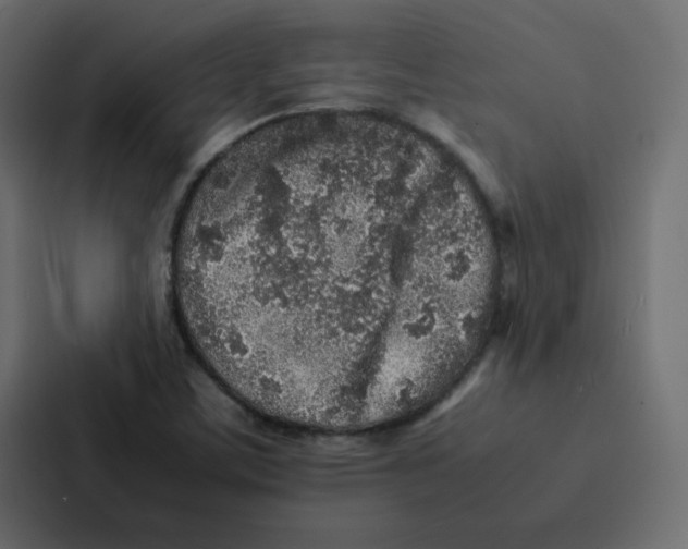 X0000087061459200705161002