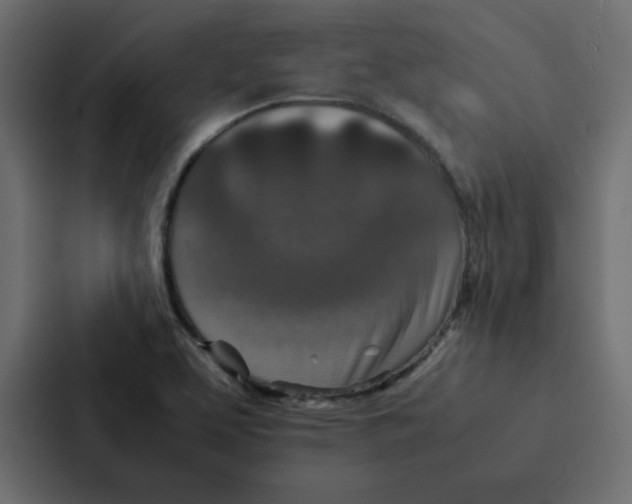 X0000087061463200705161002