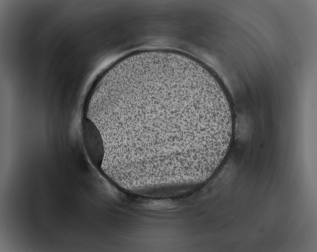 X0000087061464200705161002