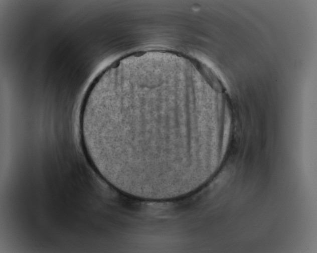 X0000087061469200705161002