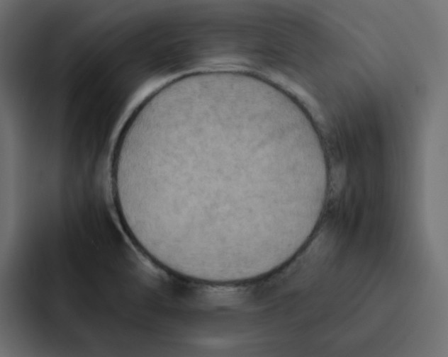 X0000087061470200705161002