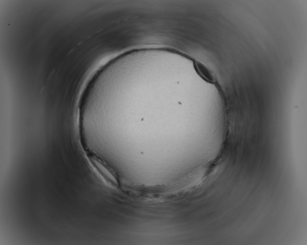 X0000087061472200705161002