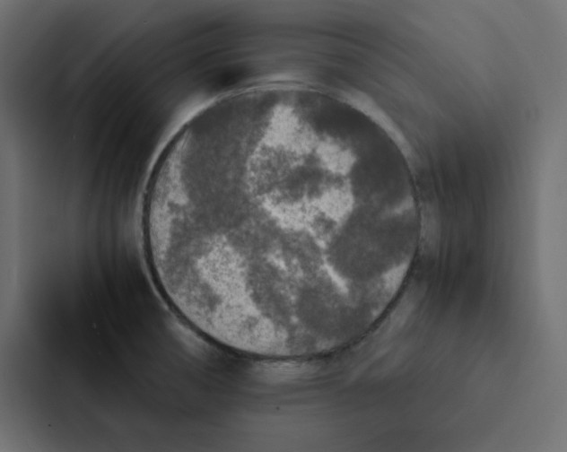 X0000087061474200705161002