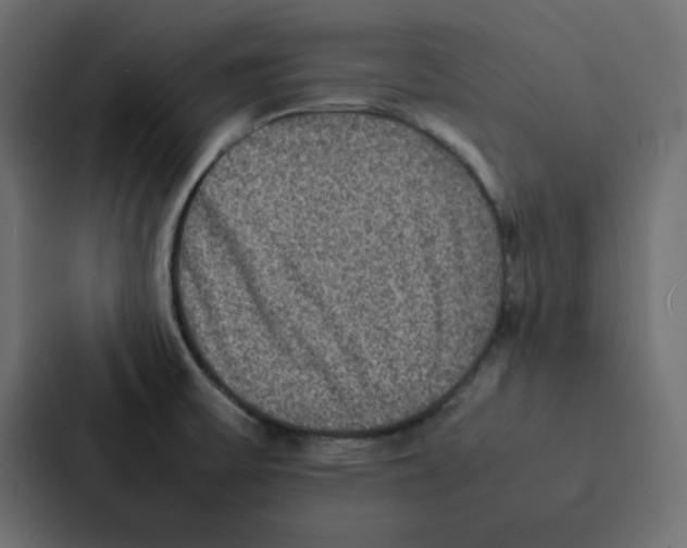 X0000087061475200705161002