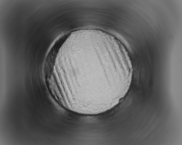 X0000087061476200705161002