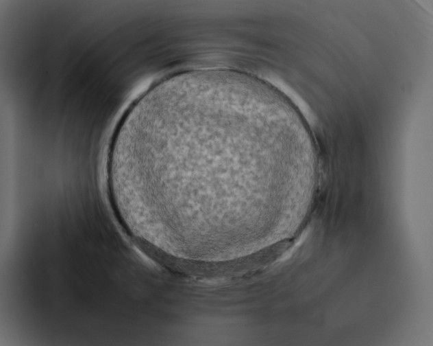 X0000087061477200705161002