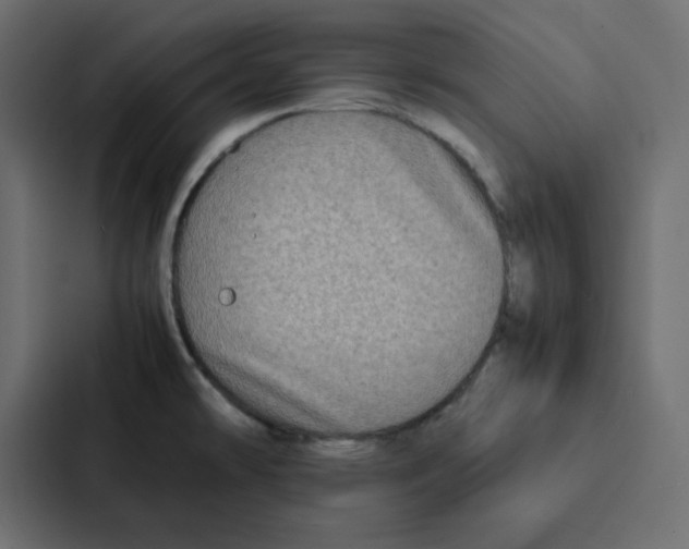 X0000087061478200705161002