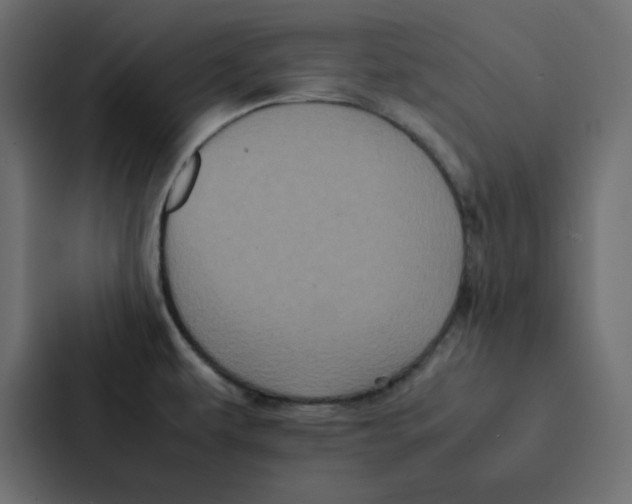 X0000087061479200705161002