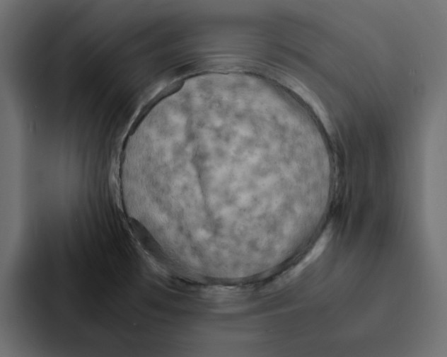 X0000087061481200705161002