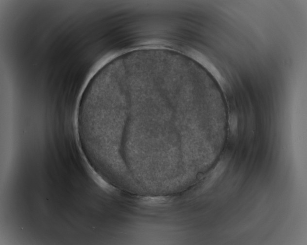 X0000087061482200705161002