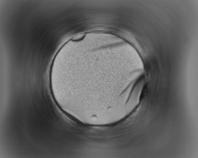 X0000087061483200705161002