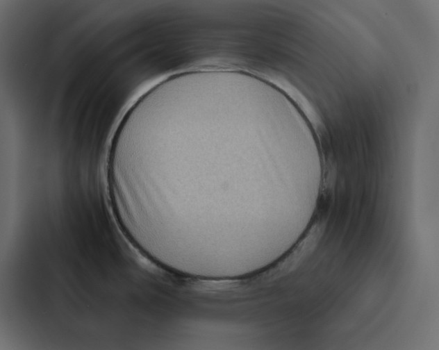 X0000087061486200705161001