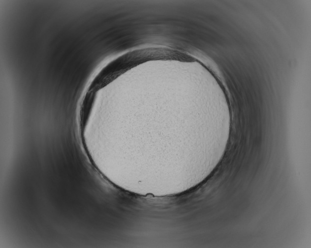 X0000087061488200705161001