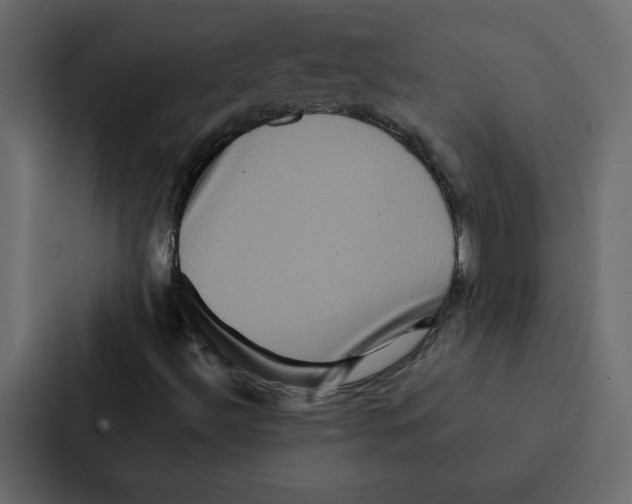 X0000087061492200705161001