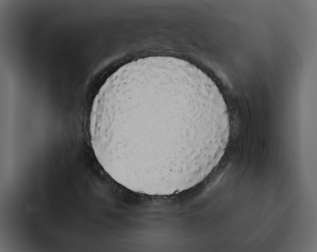 X0000087061494200705161001