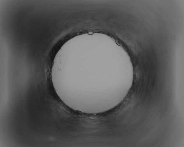 X0000087061495200705161001