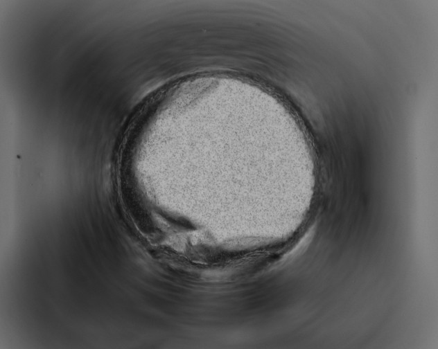 X0000087061497200705161001