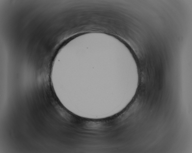 X0000087061499200705161001