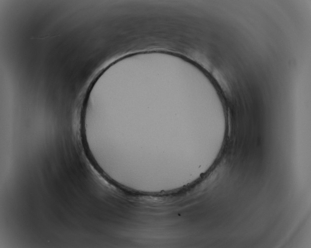 X0000087061500200705161001