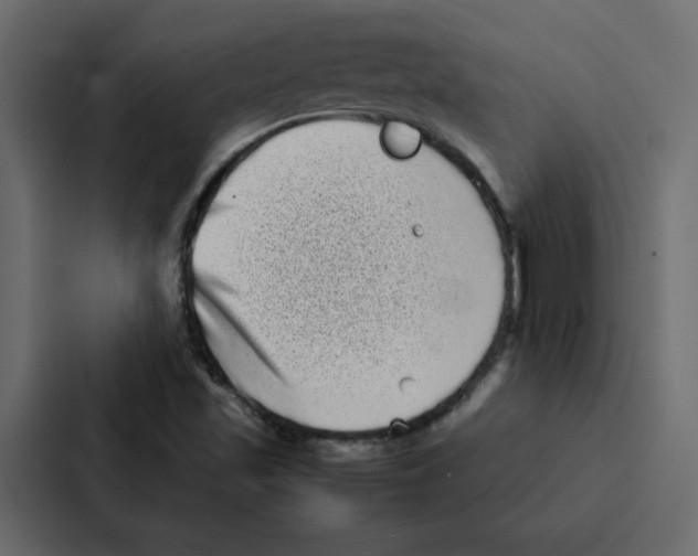 X0000087061501200705161001