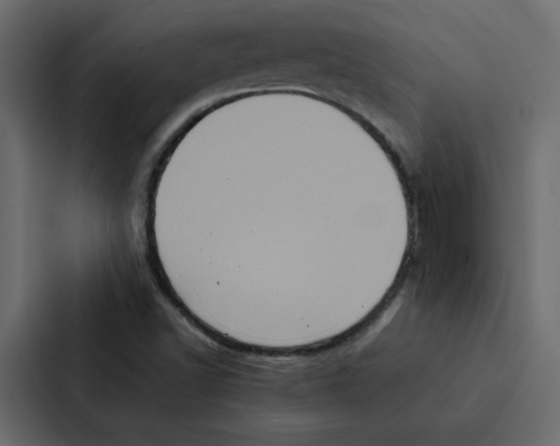 X0000087061502200705161001