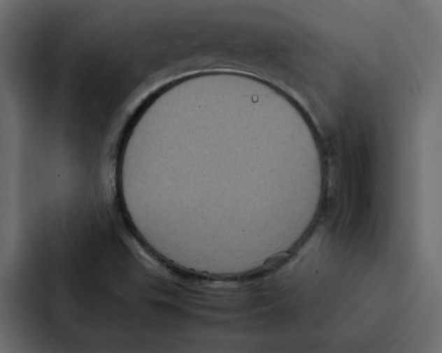 X0000087061503200705161001