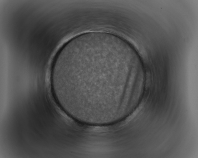 X0000087061506200705161001