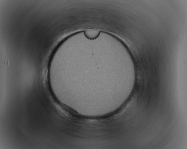 X0000087061507200705161001