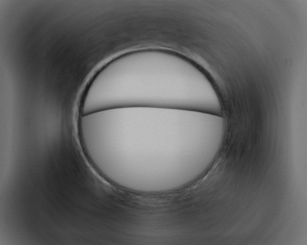 X0000087061508200705161001