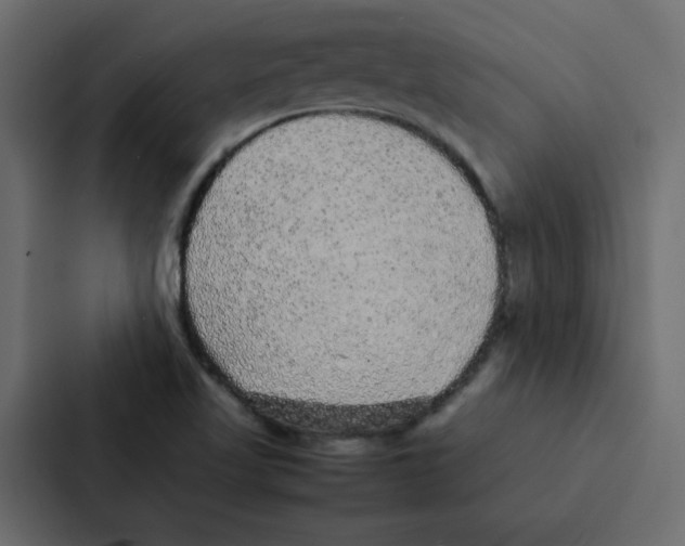 X0000087061509200705161001