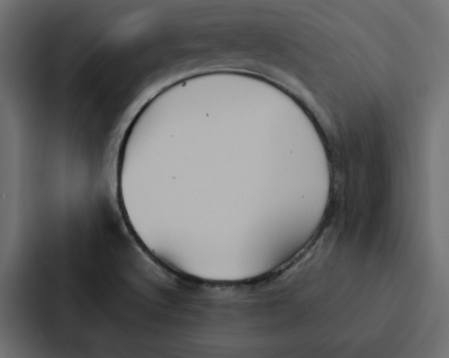 X0000087061512200705161001