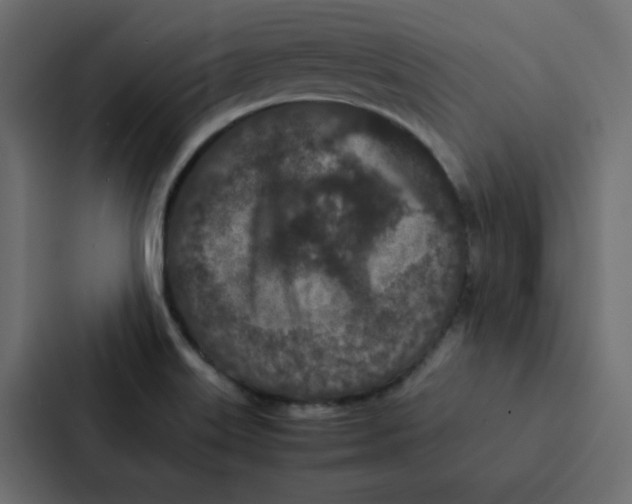 X0000087061515200705161001