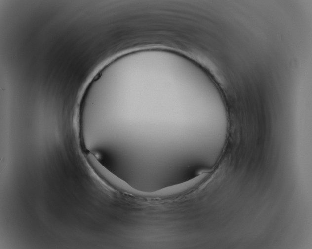 X0000087061516200705161001