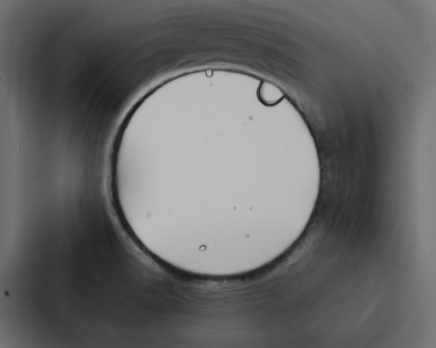 X0000087061518200705161001