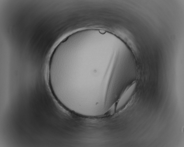 X0000087061520200705161001