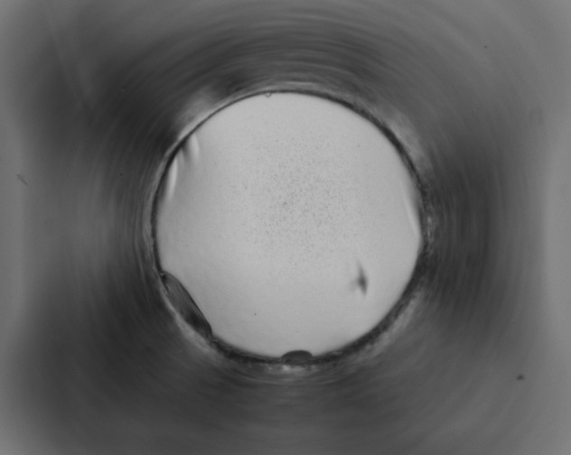 X0000087061521200705161001