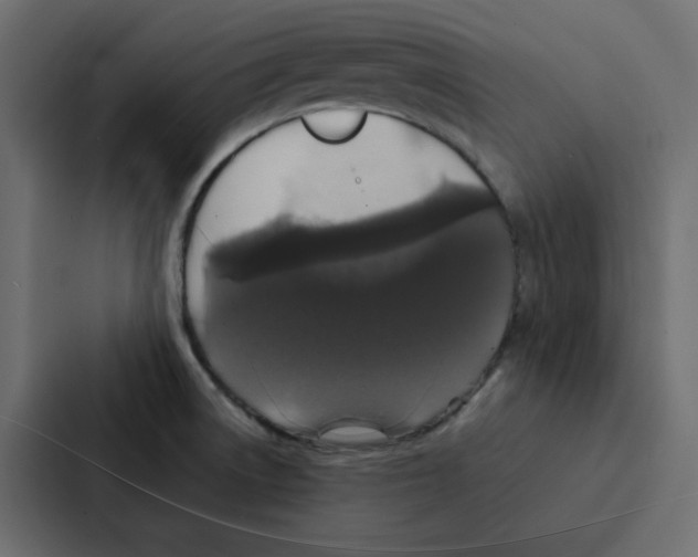 X0000087061522200705161001