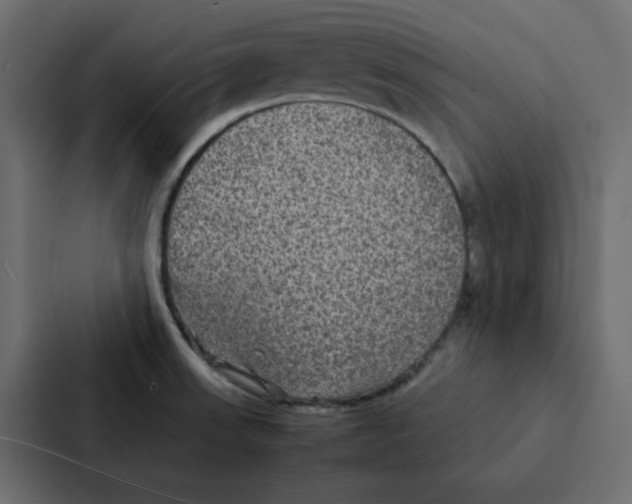 X0000087061523200705161001