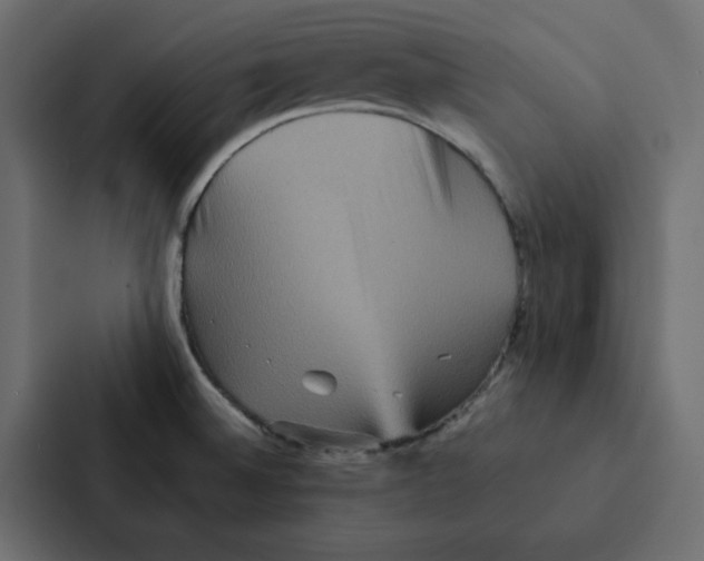 X0000087061524200705161001