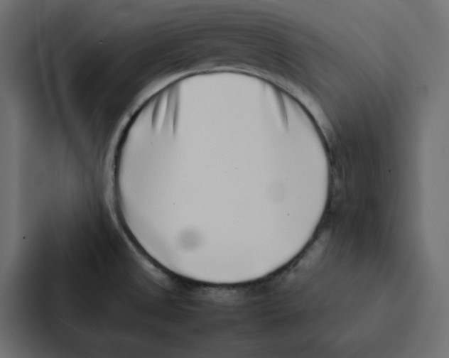 X0000087061525200705161001