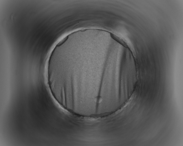 X0000087061528200705161001