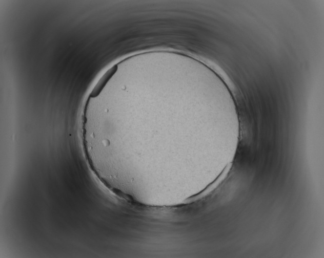 X0000087061532200705161001