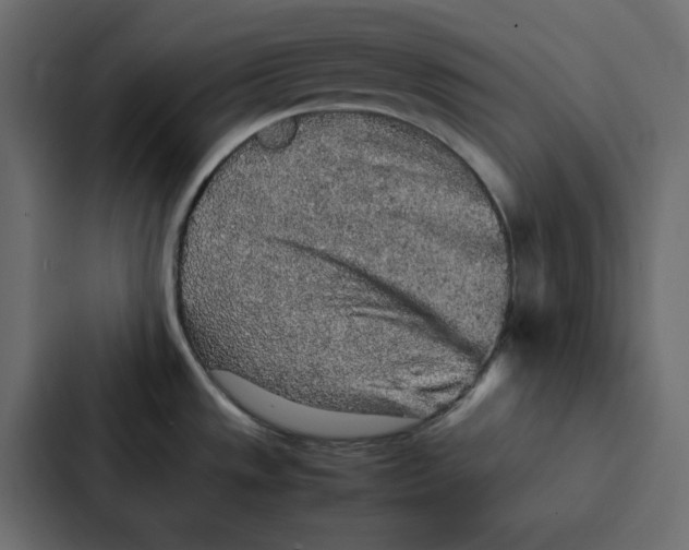 X0000087061533200705161001