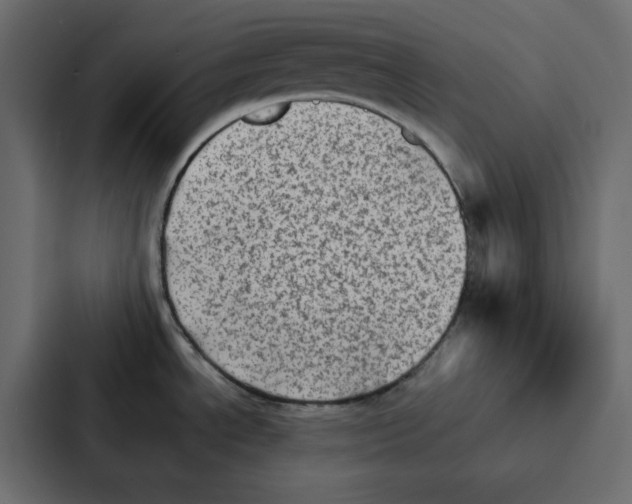 X0000087061534200705161001