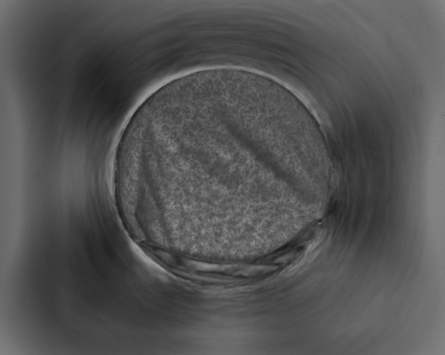 X0000087061535200705161001