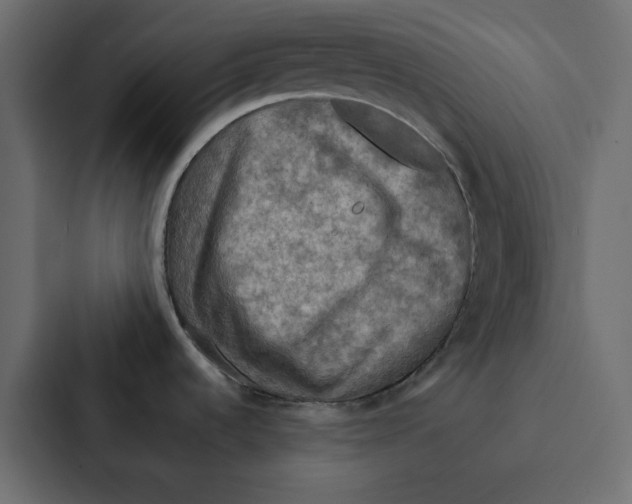 X0000087061536200705161001