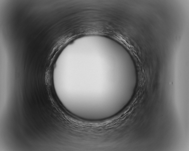 X0000087310002200704200728